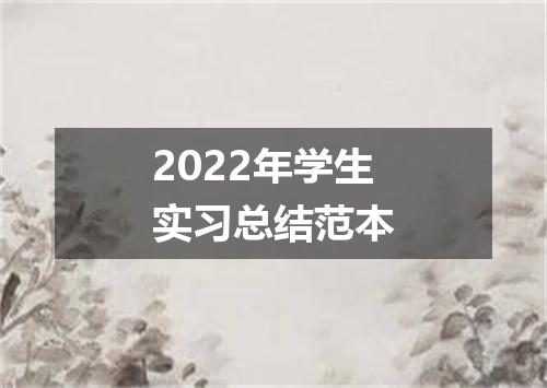 2022年学生实习总结范本