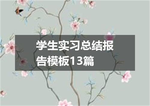 学生实习总结报告模板13篇