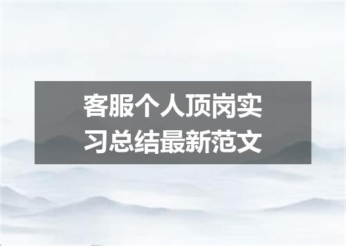 客服个人顶岗实习总结最新范文