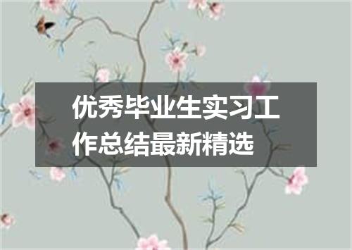 优秀毕业生实习工作总结最新精选