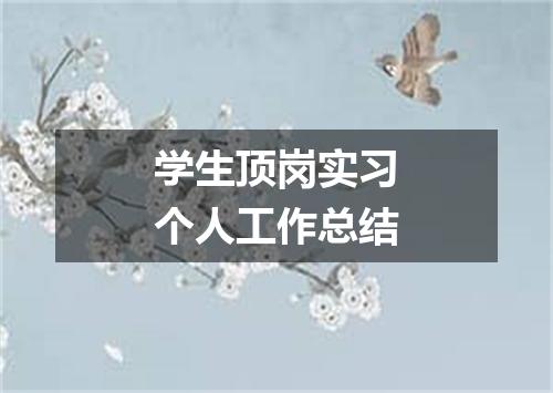 学生顶岗实习个人工作总结
