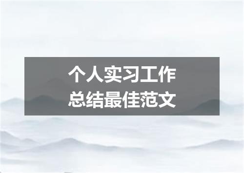 个人实习工作总结最佳范文