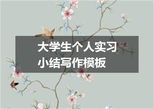 大学生个人实习小结写作模板