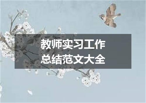 教师实习工作总结范文大全