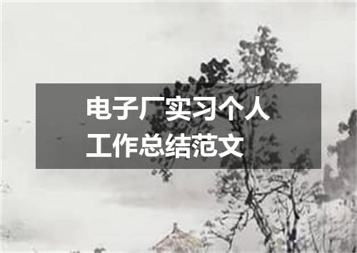 电子厂实习个人工作总结范文