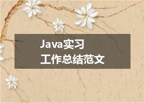 Java实习工作总结范文