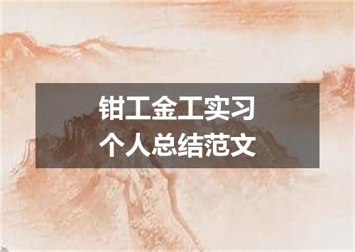 钳工金工实习个人总结范文