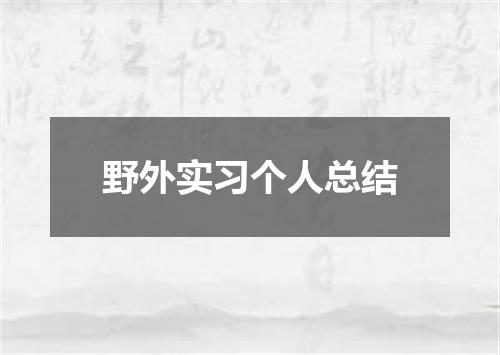 野外实习个人总结