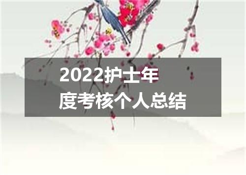 2022护士年度考核个人总结