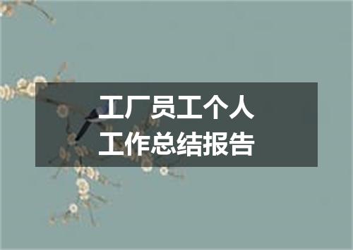 工厂员工个人工作总结报告