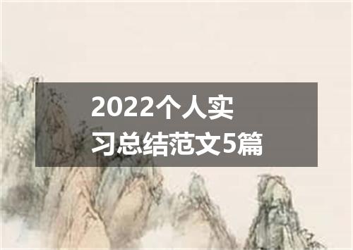 2022个人实习总结范文5篇