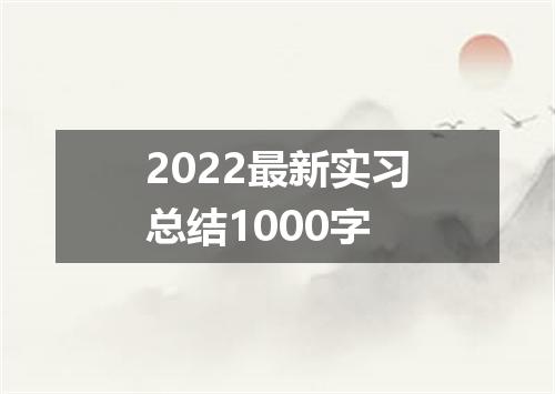 2022最新实习总结1000字