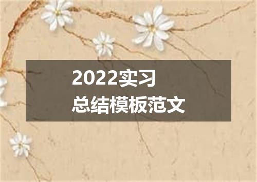 2022实习总结模板范文