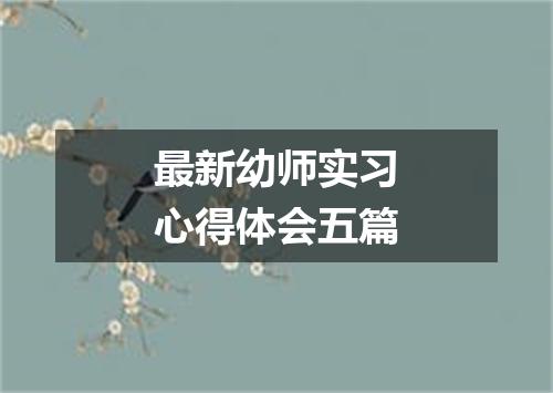 最新幼师实习心得体会五篇