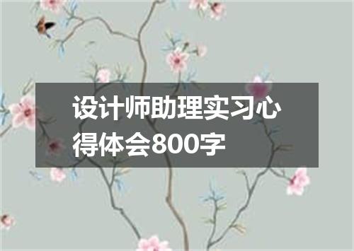 设计师助理实习心得体会800字