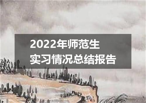 2022年师范生实习情况总结报告