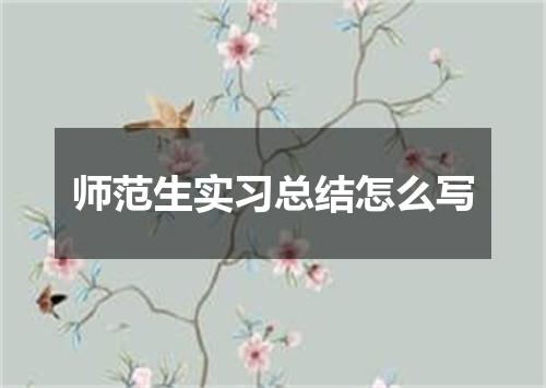 师范生实习总结怎么写