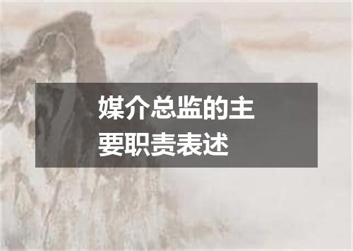 媒介总监的主要职责表述