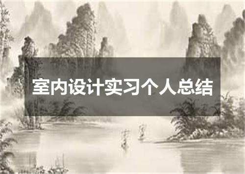 室内设计实习个人总结