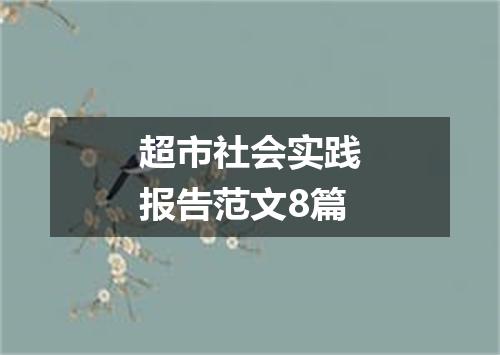 超市社会实践报告范文8篇