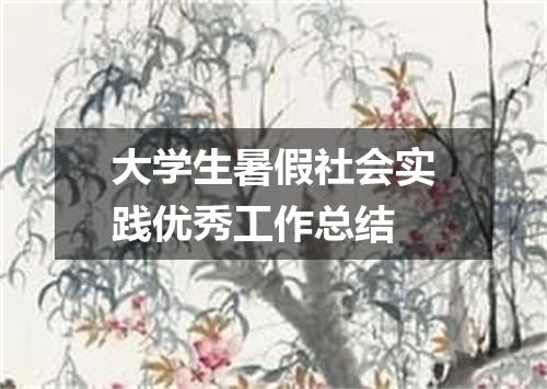 大学生暑假社会实践优秀工作总结