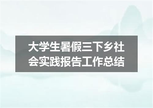 大学生暑假三下乡社会实践报告工作总结