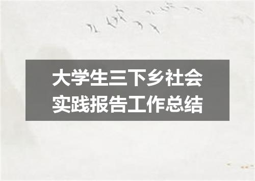 大学生三下乡社会实践报告工作总结