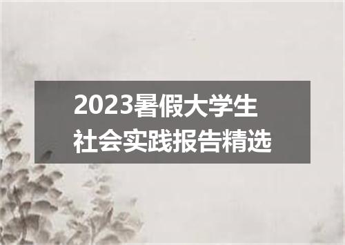 2023暑假大学生社会实践报告精选