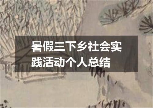 暑假三下乡社会实践活动个人总结