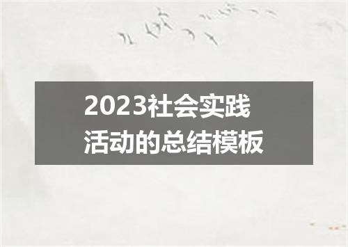 2023社会实践活动的总结模板