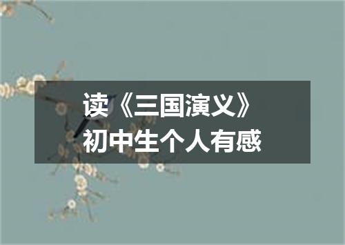 读《三国演义》初中生个人有感