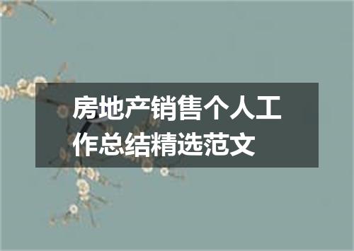 房地产销售个人工作总结精选范文
