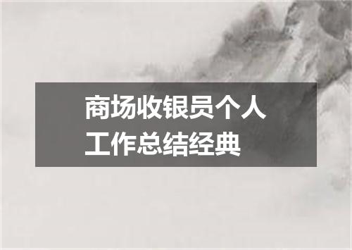 商场收银员个人工作总结经典