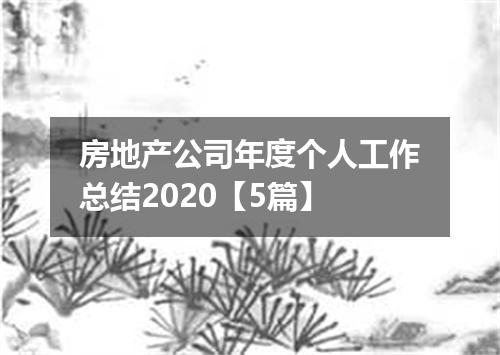 房地产公司年度个人工作总结2020【5篇】