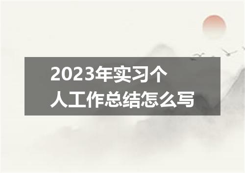 2023年实习个人工作总结怎么写