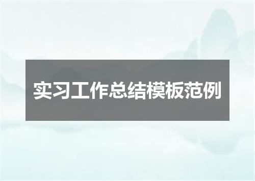 实习工作总结模板范例