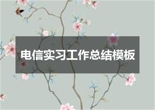 电信实习工作总结模板
