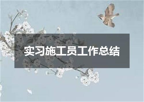 实习施工员工作总结