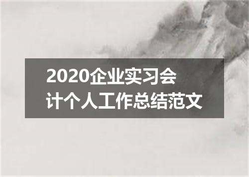 2020企业实习会计个人工作总结范文
