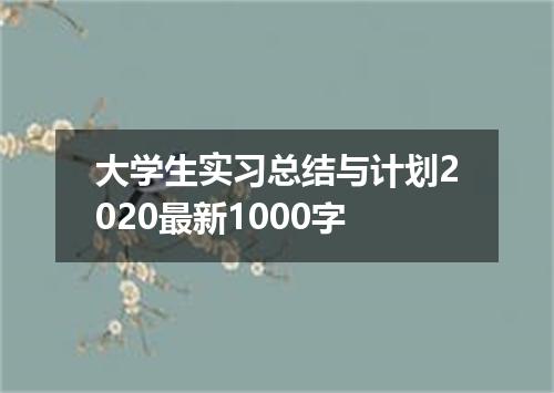 大学生实习总结与计划2020最新1000字