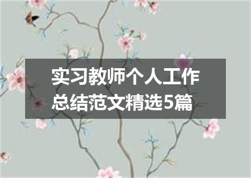 实习教师个人工作总结范文精选5篇
