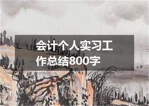 会计个人实习工作总结800字