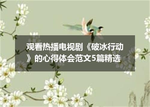 观看热播电视剧《破冰行动》的心得体会范文5篇精选