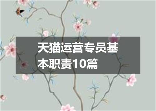 天猫运营专员基本职责10篇