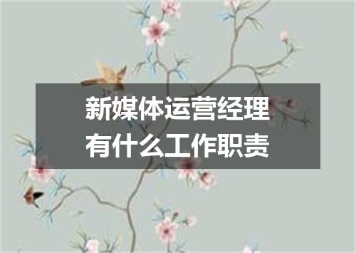 新媒体运营经理有什么工作职责