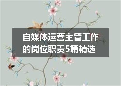 自媒体运营主管工作的岗位职责5篇精选