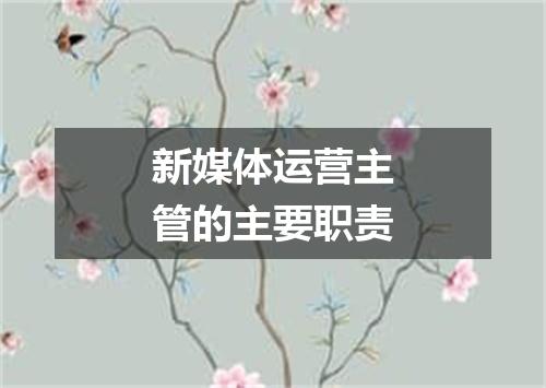 新媒体运营主管的主要职责
