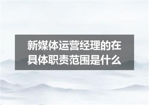 新媒体运营经理的在具体职责范围是什么