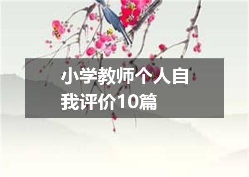 小学教师个人自我评价10篇