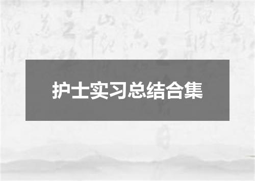 护士实习总结合集